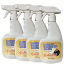 Oil Stain Remover