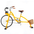 Multifunctional Cycling Blender Fruit Bike