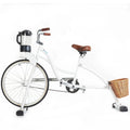 Multifunctional Cycling Blender Fruit Bike