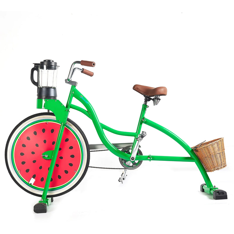 Multifunctional Cycling Blender Fruit Bike