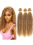 #27 Honey Blonde Kinky Curly Bundles Human Hair 10-30 Virgin Brazilian Curly Hair Weaves Soft Bouncy Wet Wavy Colored Human Hair