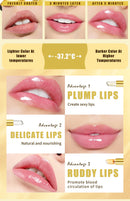 3pcs Lipstick Set Flower Jelly Crystal Clear Long Lasting Lips Color Change Pink lip gloss Cosmetics