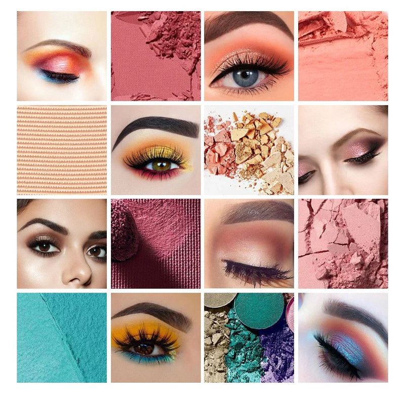 Eye Makeup Starter Kit