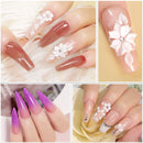 Crystal Liquid With Acrylic Powder Set Lnclude Pink White Transparent Acrylic Powder Kit Suitable Beginner Nail Kit