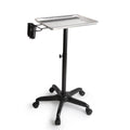Salon Rolling Salon Tray Aluminum Trolley Cart Adjustable Height Mobile Beauty Salon Spa Storage Tray Tattoo Hairstylist Cart