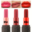 Velvety Matte Lipstick, Richly Pigmented With A Satin Finish Long-Lasting Matte Lip Gloss, Full Coverage Creamy Lipstick