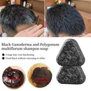 Shiny Hair Herbal Hair Growth Soap herbal formula