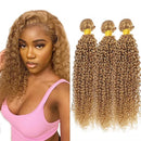 #27 Honey Blonde Kinky Curly Bundles Human Hair 10-30 Virgin Brazilian Curly Hair Weaves Soft Bouncy Wet Wavy Colored Human Hair