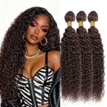 #2 Dark Brown Chocolate Kinky Curly Human Hair Bundles Virgin Human Hair Jerry Curly Bundles 1/3/4 95G/PC Hair Weaving Human Hai