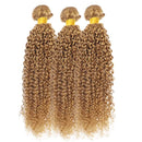 #27 Honey Blonde Kinky Curly Bundles Human Hair 10-30 Virgin Brazilian Curly Hair Weaves Soft Bouncy Wet Wavy Colored Human Hair