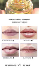 Transparent Honey Pot Lip Mask Moisturizes, Moisturizes, Lightens Lip Lines, Sleep Lip Mask, and Lip Care
