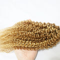 P27/613# Ash Blonde Kinky Curly Human Hair Bundles Highlight Ombre Honey Blonde Hair Bundles Double Weft Weave 1/3/4pcs Bundles