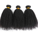 Human Hair Bundles With Closure Afro Kinky Curly Peruvian Raw 3 4 Bundle With 4x4 5x5 HD Lace Closure Yaki Weave With 13x4 Frontal